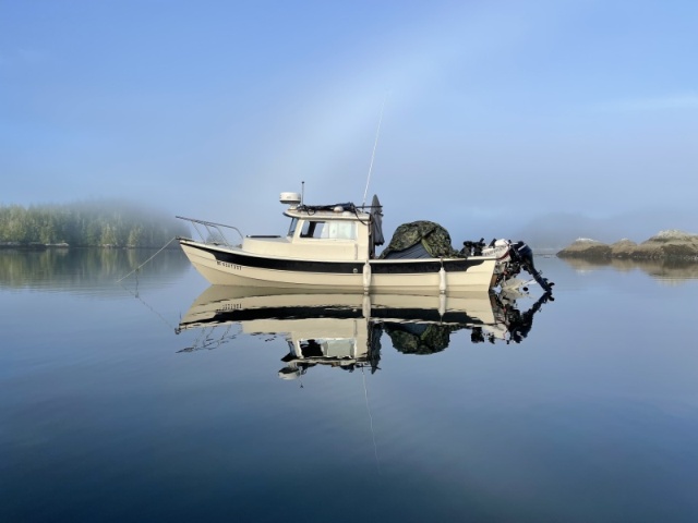 First night in the Broughton Archipelago. Woke up in the calm bay at Village Island. The kids pupped the tent.