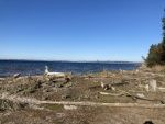 April - Blake Island - Seattle Skyline