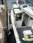 Beside Michigan Island Dock in 2-3 ft seas, winds into port side, ball fender against climbing ladder
