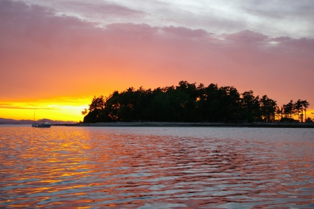 Cabbage Island