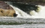 Bear Verney Falls