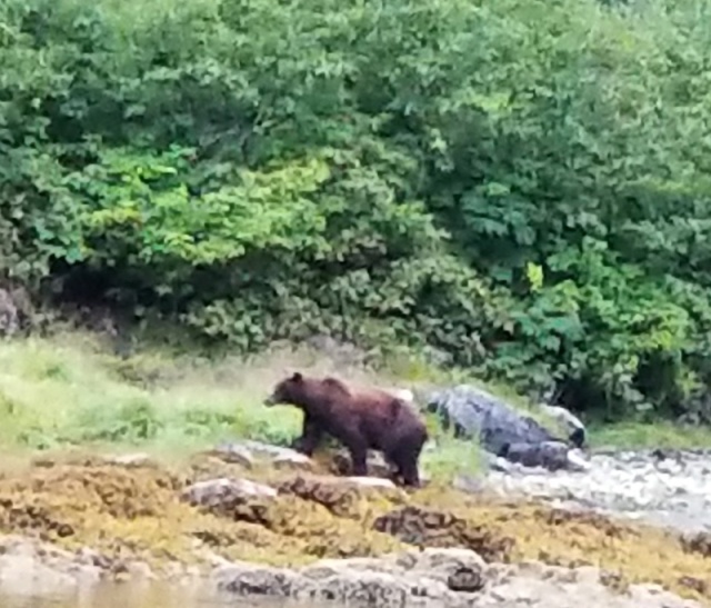 Bear Warm Springs Bay