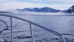 Fog on Ernest Sound