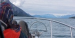 Glacier Bay - Kel on front