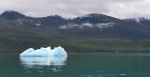 Iceberg - Endicott