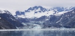 Johns Hopkins Glacier