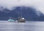 Kanak Tender Chatham Strait