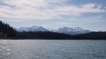 boat harbor skyline