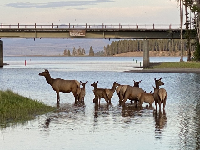 Photo taken from Bridge Bay Marina dock walkway 