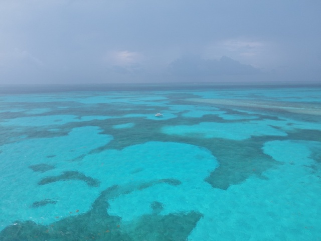 Molasses reef channel