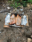 salmon on the campfire