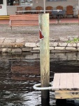 Water pushed the docks above the sign on the post