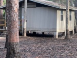 Hontoon flood damage