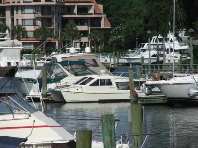 (Byrdman) Shelter Cove, Hilton Head, SC