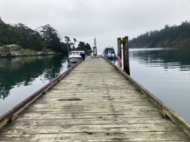 Dock was mostly empty for a while, thanks to tsunami warning