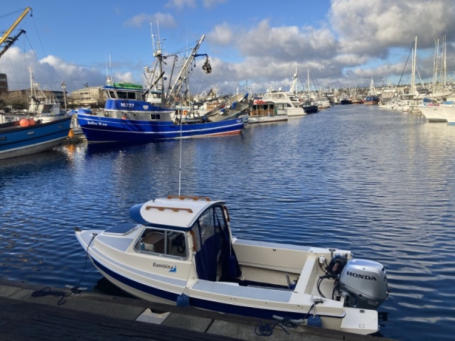 Fishermans Terminal public dock