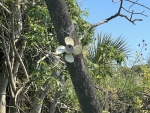 Prop Birdhouse up close