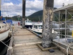 Pender Harbour wharf