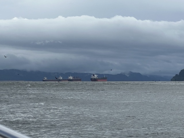 Ships anchored in the bay by Astoria
