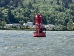 Seal on a Columbia River Buoy