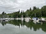 Elochoman Slough Marina in Cathlamet