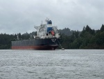 One of several ships anchored between Cathlamet and Kalama