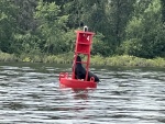 Sea Lion on Buoy 4