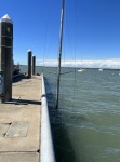 Some sunken boats around Northwest Marine Industries dock