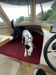 Both my girls smelling the boat the first day I got it home.