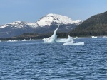 Icebergs Columbia Bay
