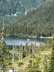 Anchored at head of Eaglet Bay