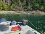 Stern tied to a fallen tree in Tenedos Bay