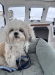 Our little Willow