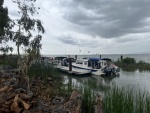 Wheeler Island Dock