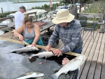 Steve and Carmen cleaning fish