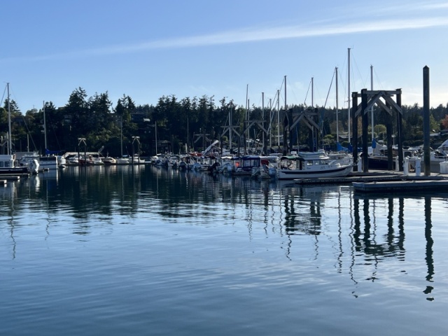 Friday Harbor C-Dorys