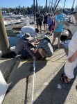 Phone overboard- taping poles together to go fishing