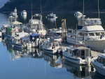 Dock at Fossil Bay