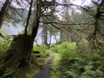 Trail to falls