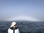 Newport - Fogbow