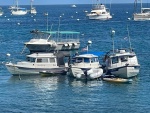 C-Traveler, Pounder, Sea Spray