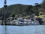 Friday Harbor Pre-Gathering at Sucia Island