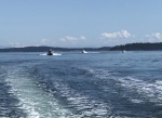 CDorys Headed to Friday Harbor Gathering