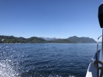 Calm Water in Johnstone Strait
