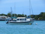 On a morning in the harbour