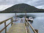 Forest service dock bears & whales near
