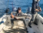 25 lb Sable