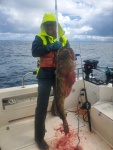 New state record! I filleted it first, won\'t get the title. 