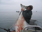 My personal best big hali