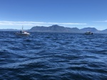 Red Snapper (16) and Salish Sea, Checkpoint II offshore